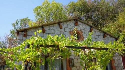 Mosset House | El Casot Alt