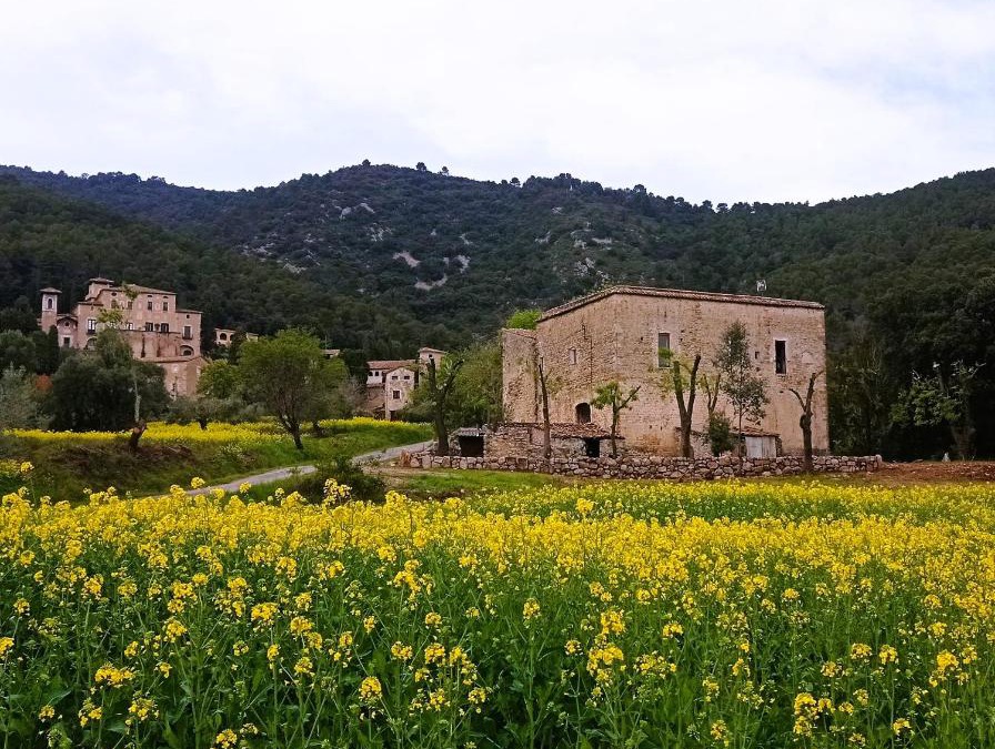 Seguero Apartment | El Castell de Segueró