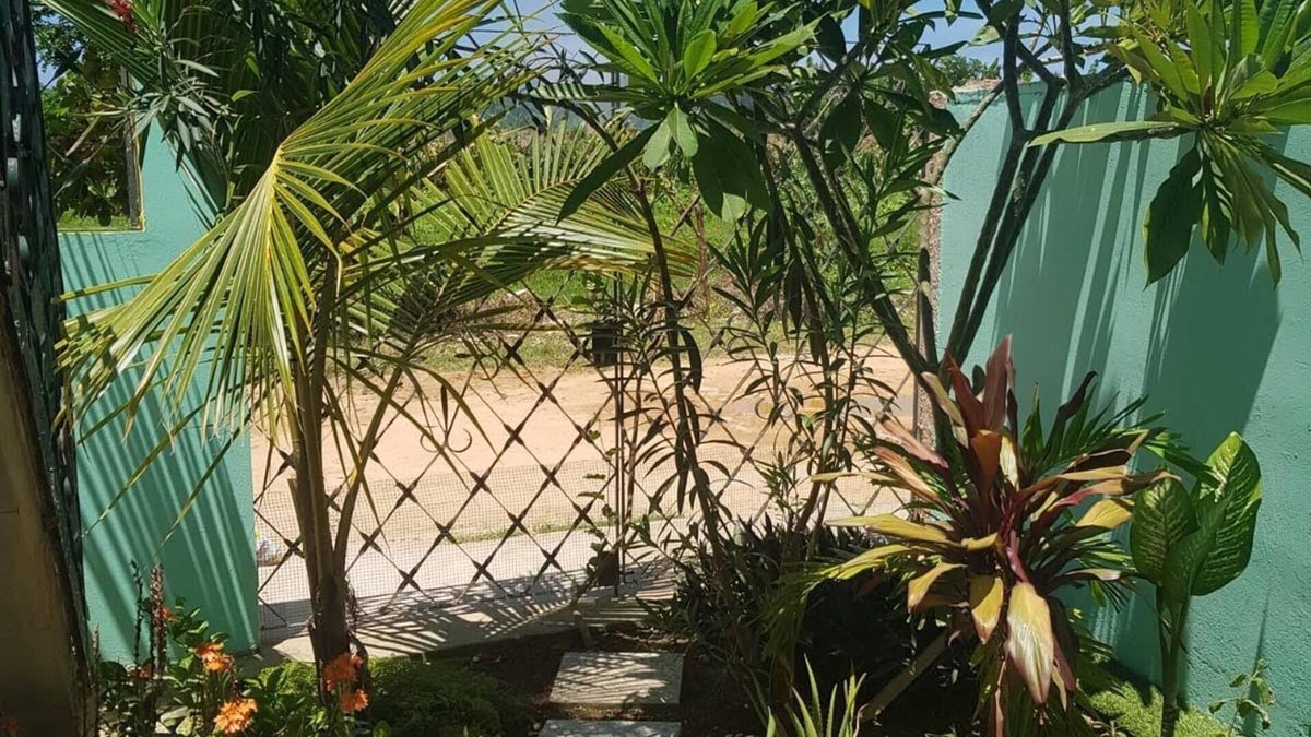 Cardenas Bed & Breakfast | El Delft Azul SANTA MARTA