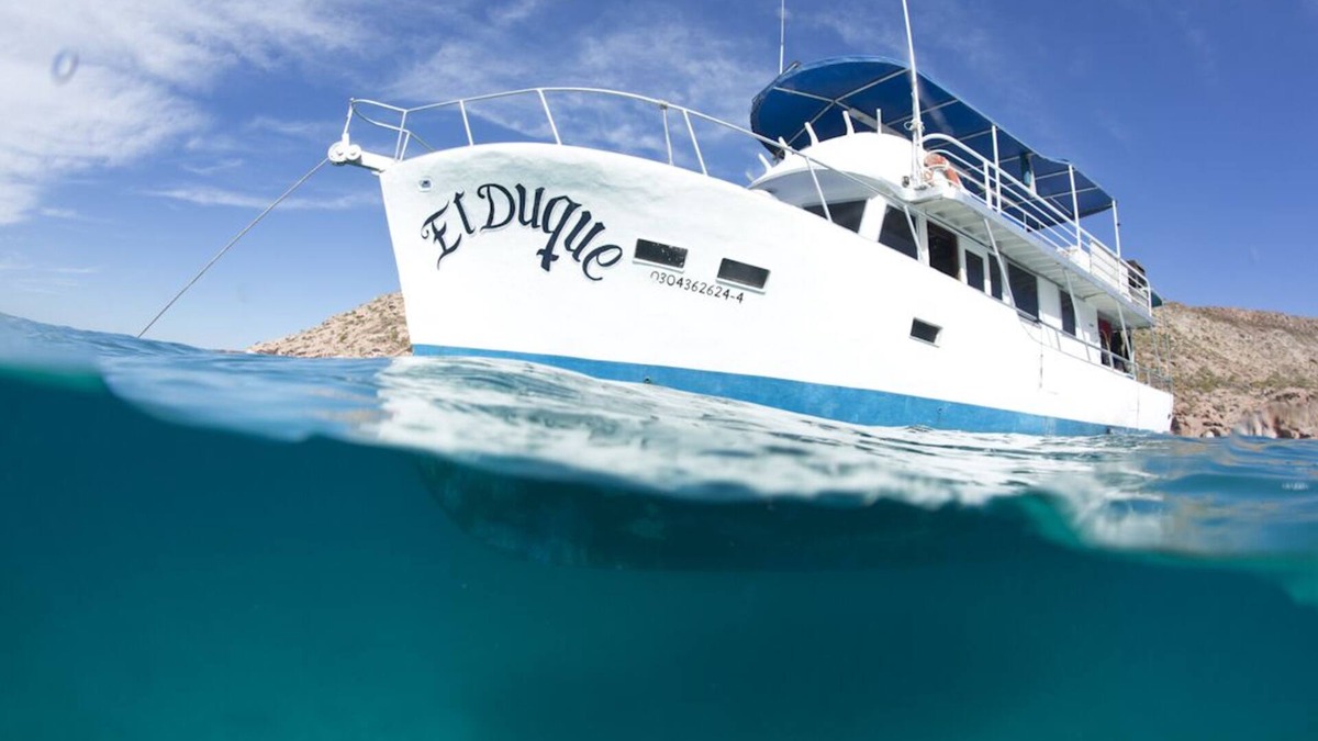 La Paz Boat Rental | El Duque Adventures In The Sea Of Cortez And Beyond