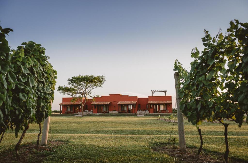 Carmelo Cabin | El Legado Wine Lodge