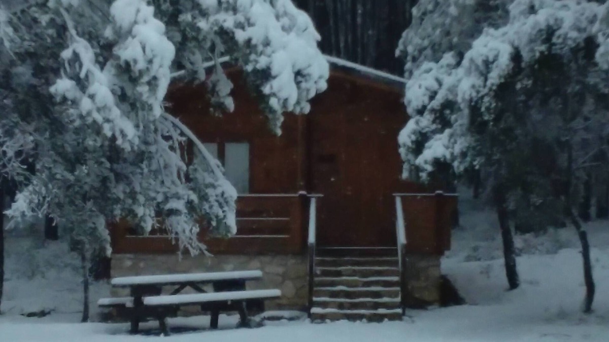 Canamares Cabin | El Llano de los Conejos Cabins - Cabin 2