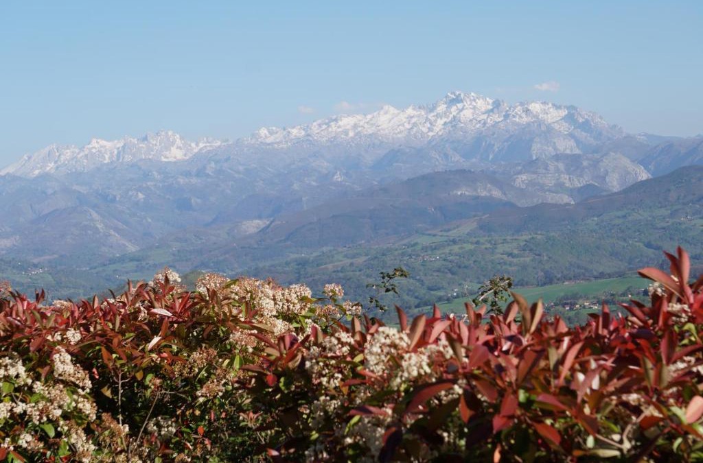 Obaya House | El Paraíso de Villar