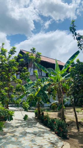 Palomino House | El Paraiso de Carmen