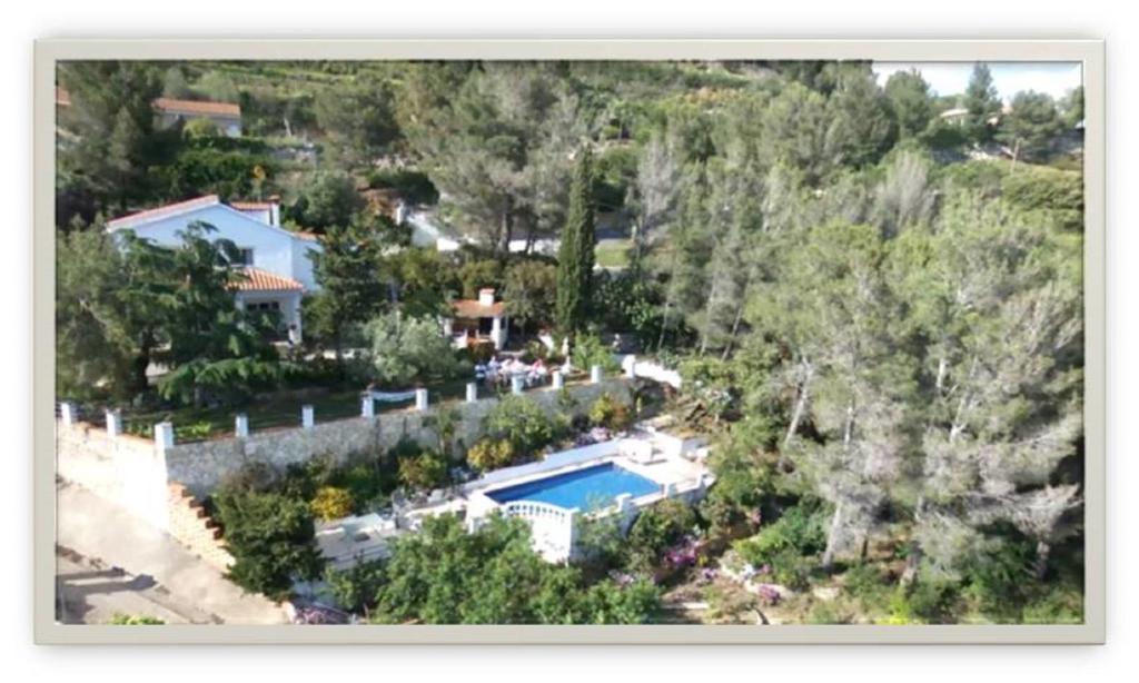 L'Albiol House | El Pinaret