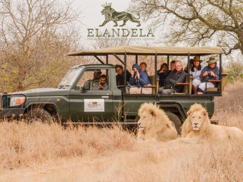 Thorny Bush Game Reserve Cabin | Elandela Private Game Reserve and Luxury Lodges Pty Ltd