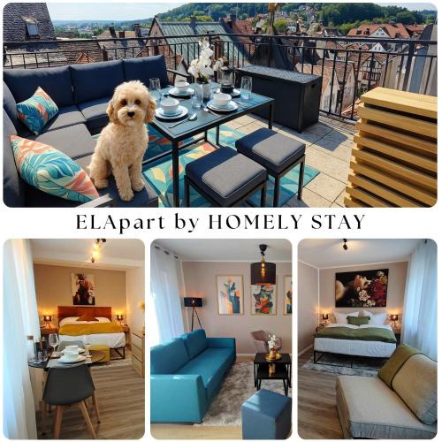 Bad Kissingen Apartment | ELApart by Homely Stay - Moderne Apartments direkt im Stadtzentrum mit Self-Check-in
