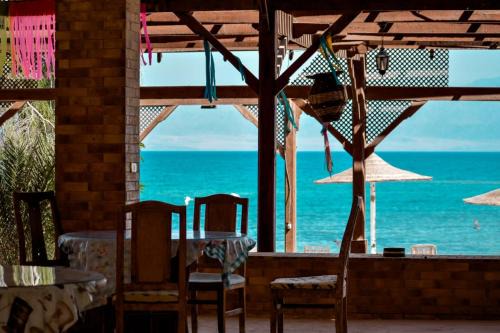 Nuweiba Other | Elbadawy camp
