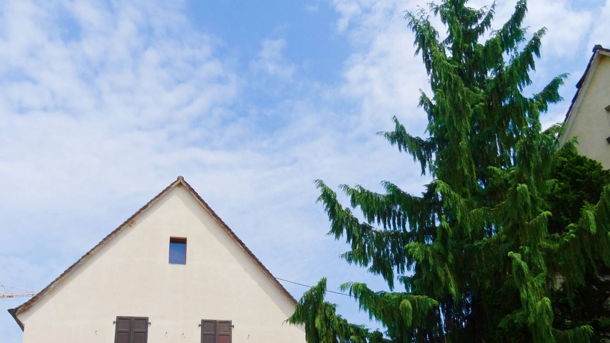 Sigolsheim Apartment | Electric bikes included in the price.