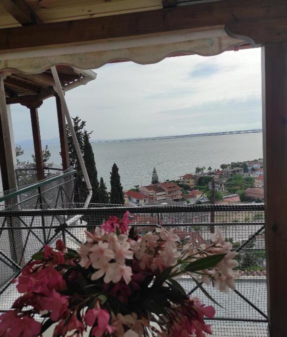 Menidion Apartment | Eleftheria