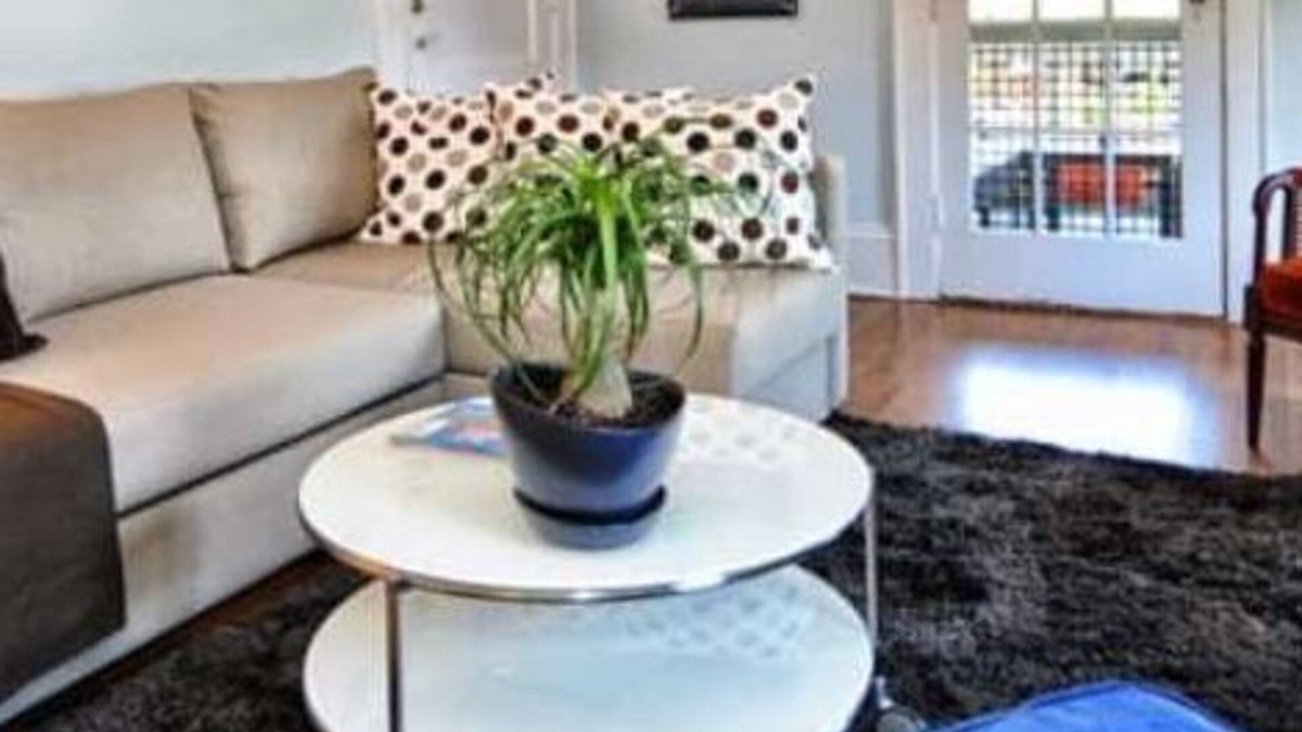 Charlotte Condo | Elegant 1BR King Condo | Elizabeth-Plaza Midwood
