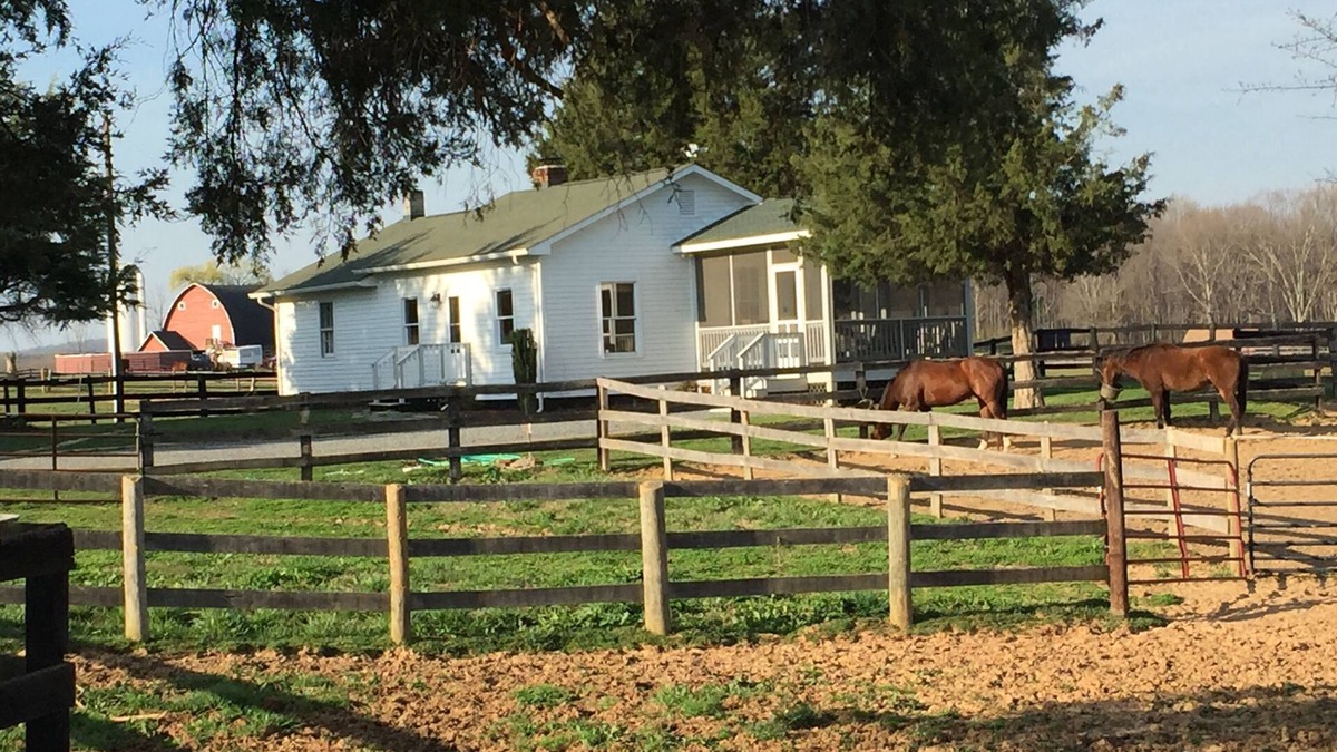 Gordonsville Cottage | Elegant Cottage on 600 Acre Horse & Livestock Farm