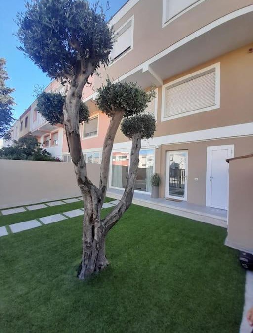 Elmas Apartment | Elegante monolocale Elmas Cagliari