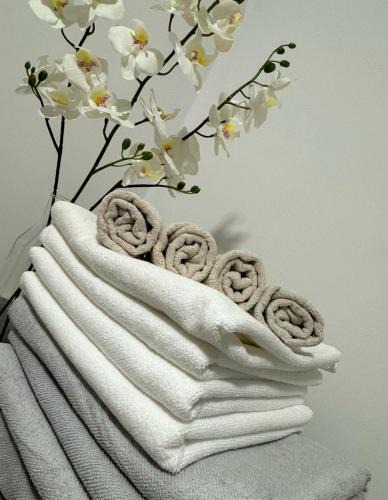 Bezigrad District Apartment | Elena Apartments
