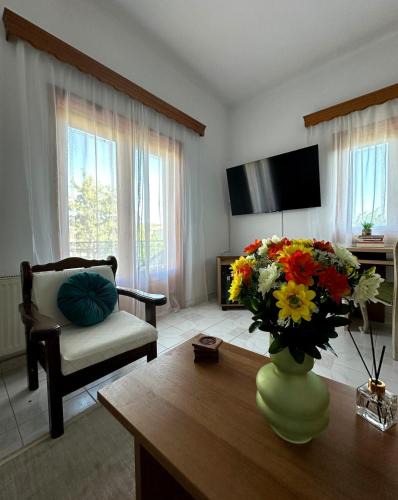Krikellos Apartment | Eleocharis near Amfilochia & Amvrakikos Gulf