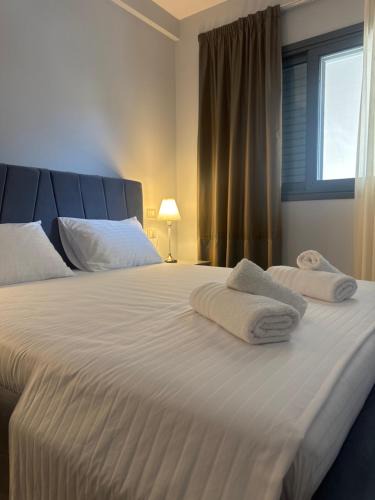 Qeparo Apartment | Eleon studios