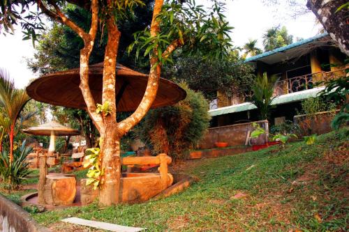 Kodanad Resort | Elephant Pass Ayurveda & Yoga Retreat