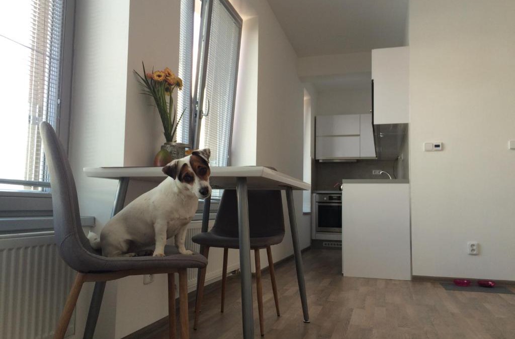 Kolin 2 Apartment | Elf