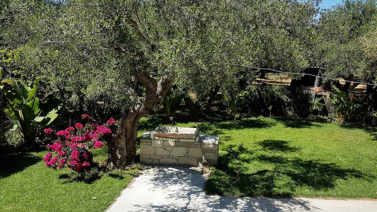 Drapanias House | Elia Guesthouse - Kissamos