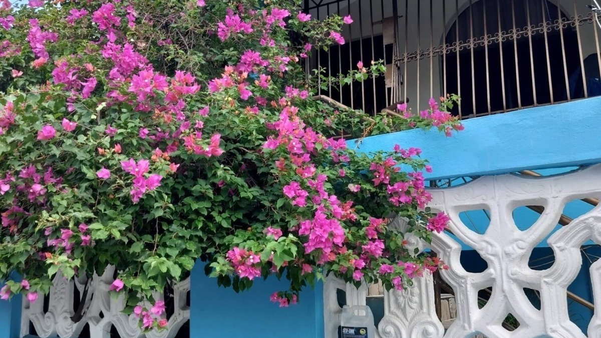 Barrio La Isabelita House | Eliana Rose