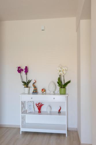 Capaccio Bed & Breakfast | Elicon B&B