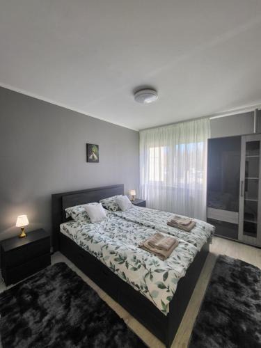 Szolnok Apartment | Elizabet Apartman Szolnok