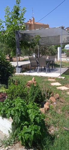 Paralia Ofryniou House | Elizabeth's apartment2