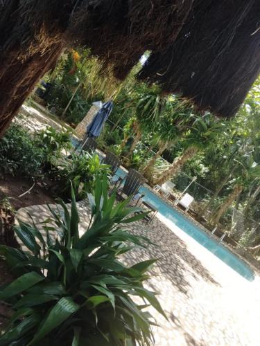 West End Villa | Ella villa negril