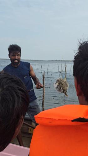 Jaffna Boat Rental | Ellalan Tourism And Adventures in Jaffna