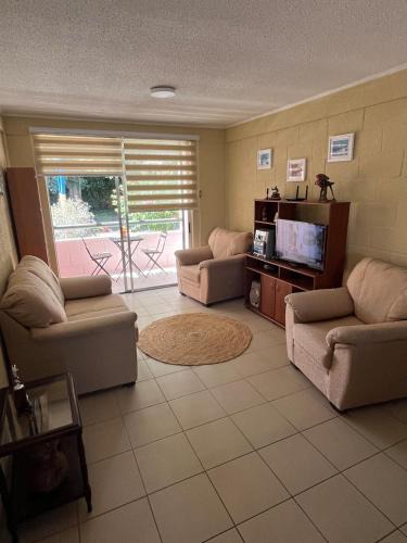 Vicuna Apartment | Elqui Antu