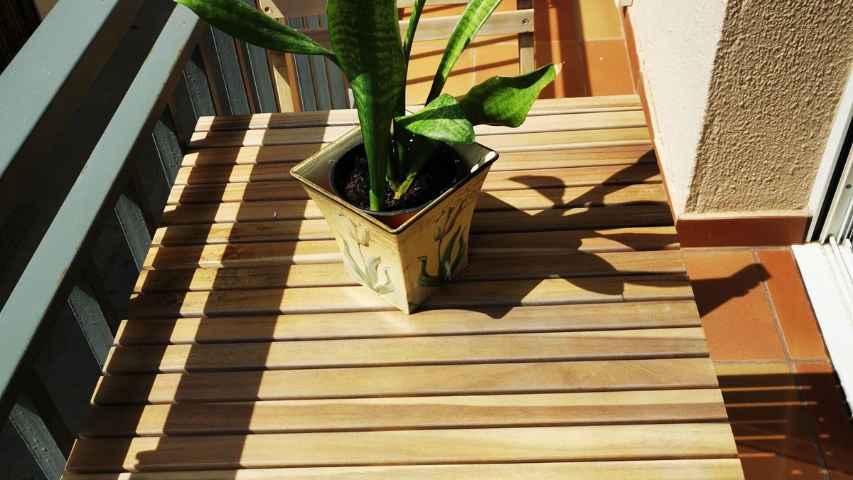 Premia de Mar Apartment | Elsi's Place, apartment next to the beach!