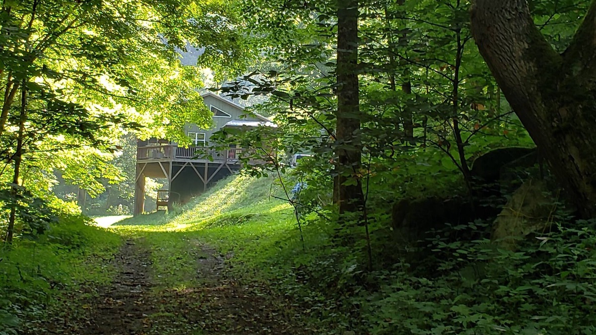 Marshall House | Elysium Falls deep in the Laurels