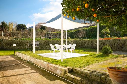 Lacco Ameno Apartment | Elysium House - Apartment in Villa with Garden