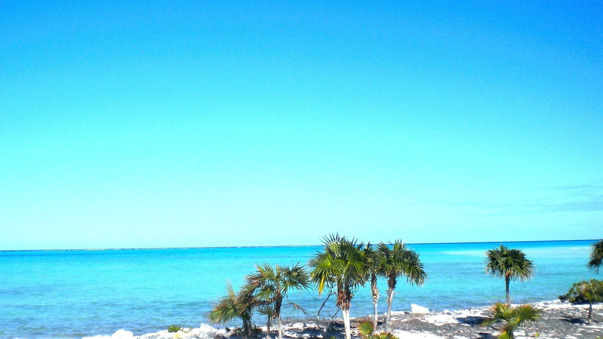 Bottle Creek House | Emerald Estate - Secluded Luxurious Beachfront Villa Whitby