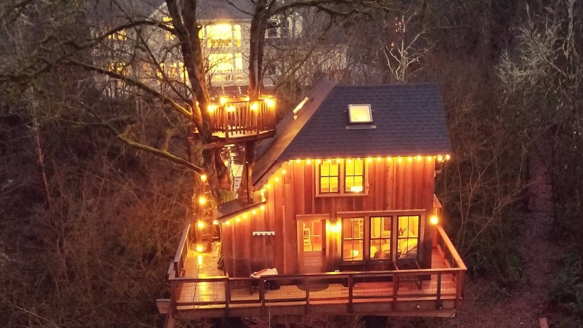 Union Hill-Novelty Hill Apartment | Emerald Forest Treehouse - From Treehouse Masters
