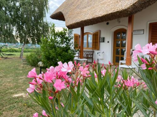 Cserszegtomaj Apartment | Emese Apartman Cserszegtomaj
