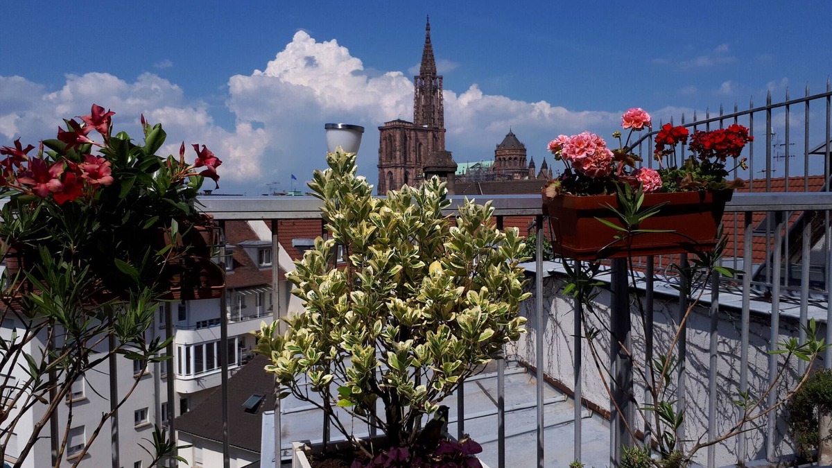 Krutenau Apartment | emilie 145m2 ac 1 free parking 4br 2bth