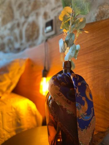 Castro Daire House | Emily's House