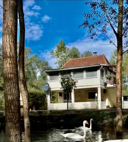 South Backa District House | Emily's house