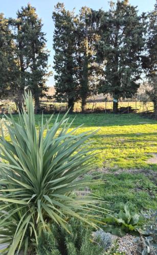 Barbentane Other | Emplacement camping car chez agriculteur branchement électrique