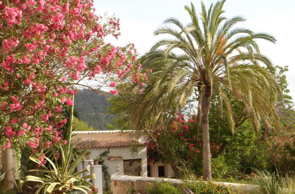 Sant Agusti des Vedra Villa | encantadora casa ibicenca