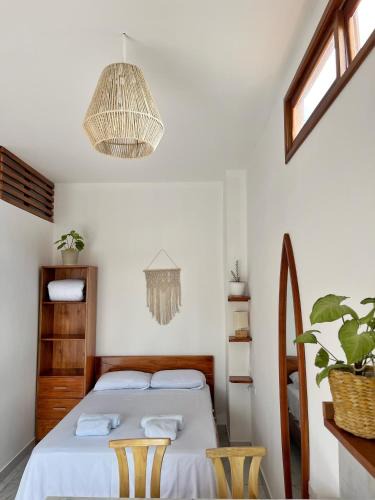 Puerto Ayora Apartment | Encanto De Mimi 2