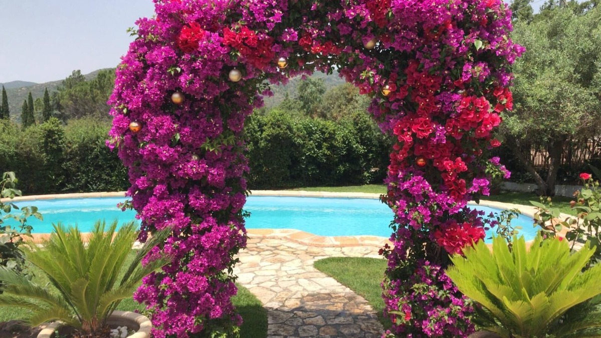 Villaggio delle Mimose Villa | Enchanted Sardinia Pool Villa