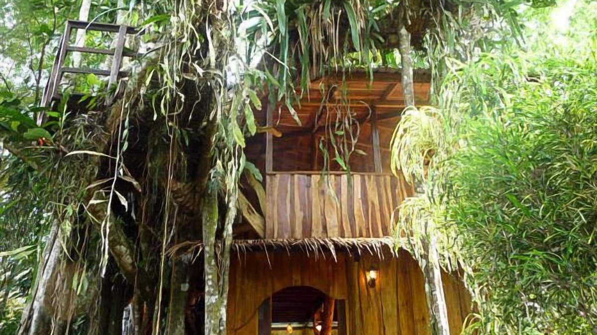 Cahuita House | Enchanted Tree House experience with all the comforts!