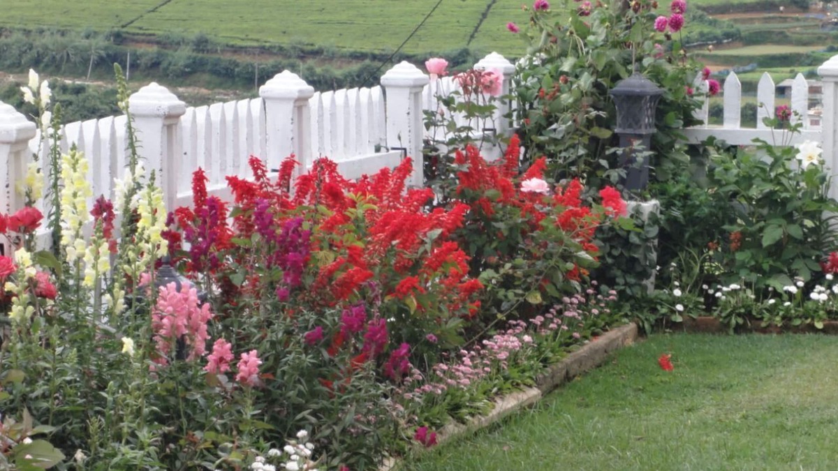 Nuwara Eliya House | Endeavour Hills Holiday bungalow consists of six private rooms.