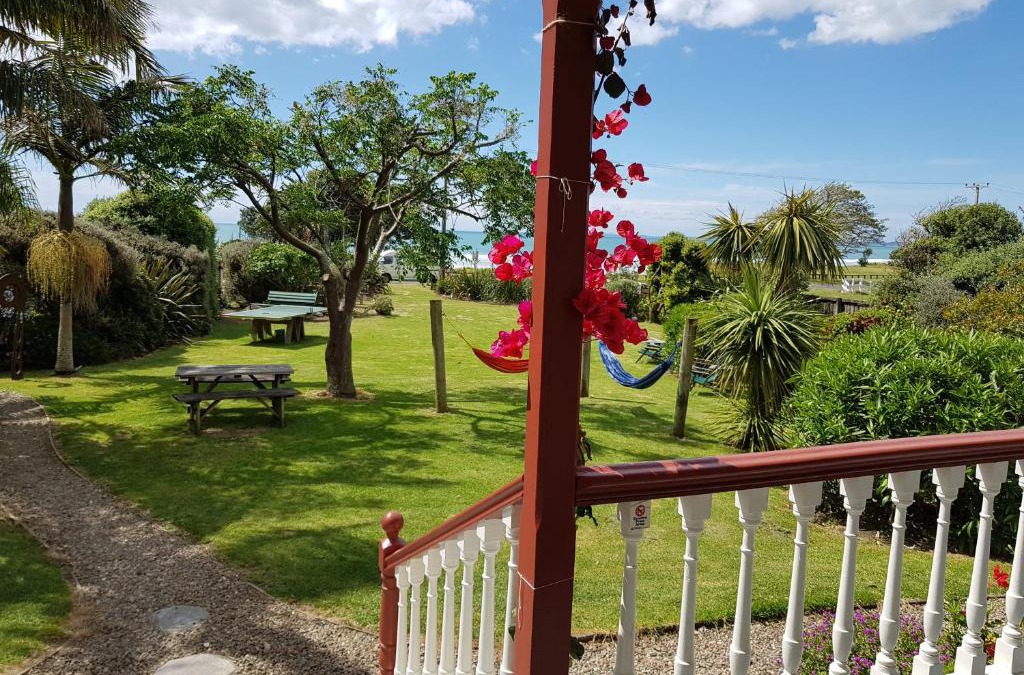 Ahipara Cabin | Endless Summer Lodge - Guesthouse