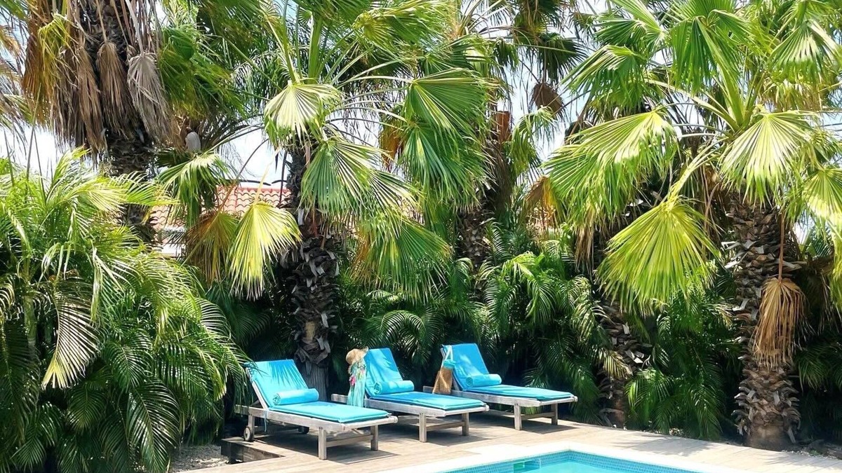 Cunucu Abao Villa | Endless Summer - Stunning 3-bedroom Vacation Villa located in Noord.