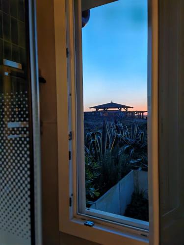 Focene House | EndlessSummer