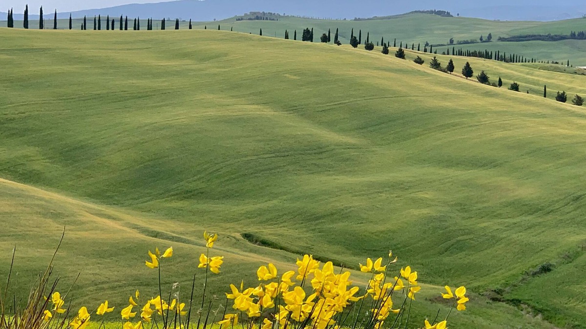 Trequanda Apartment | Enjoy a Classic Tuscan Hill Town holiday—now with AC!