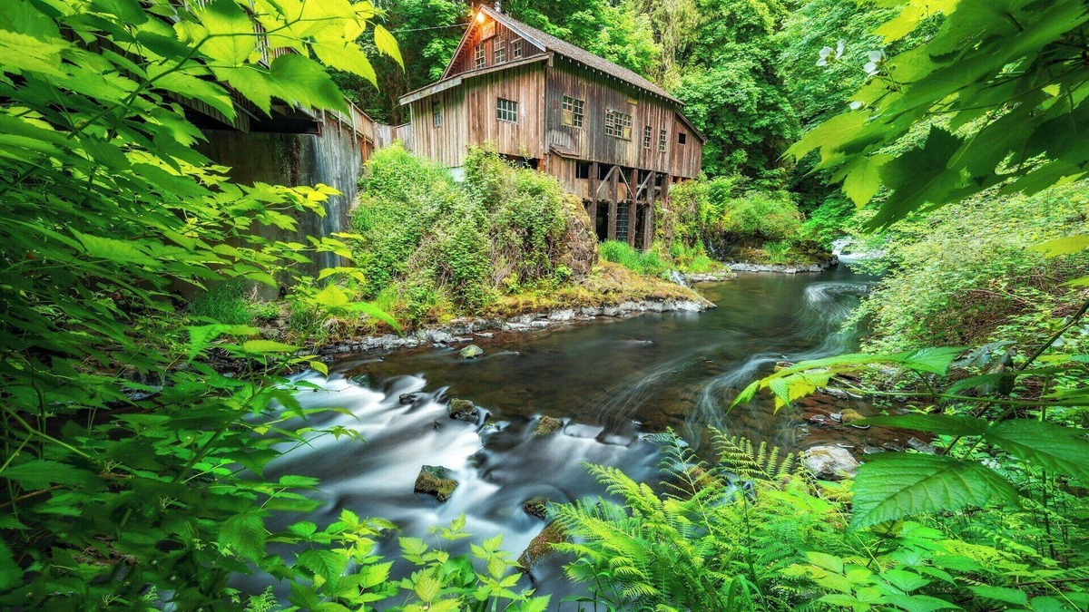 Wilkes East House | Enjoy a comfortable stay at our East Portland